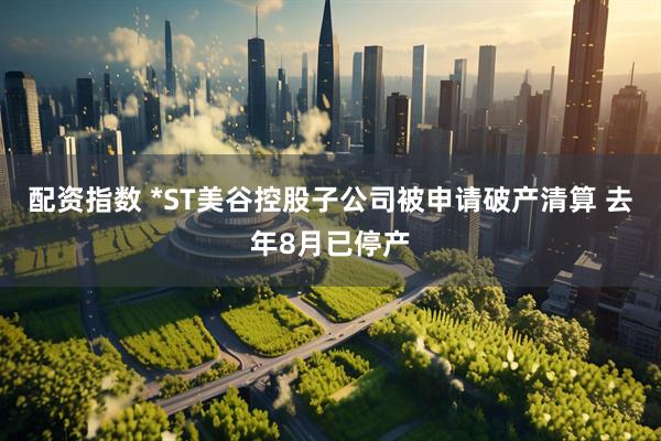 配资指数 *ST美谷控股子公司被申请破产清算 去年8月已停产